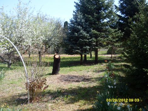 12.04.23.2.jpg 12.04.23.2.jpg