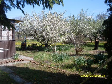 12.04.23.3.jpg 12.04.23.3.jpg