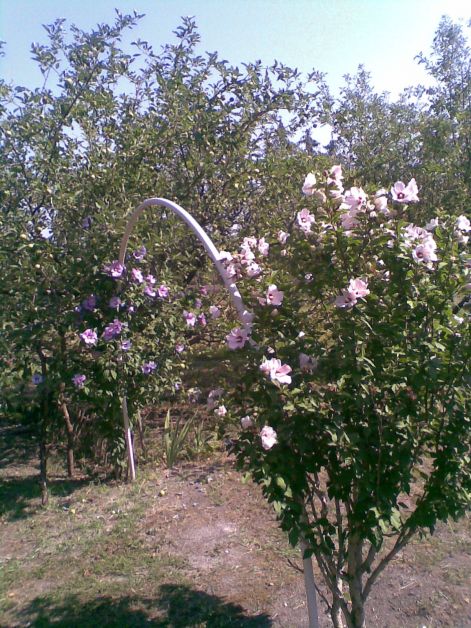 kep000.jpg kep000.jpg