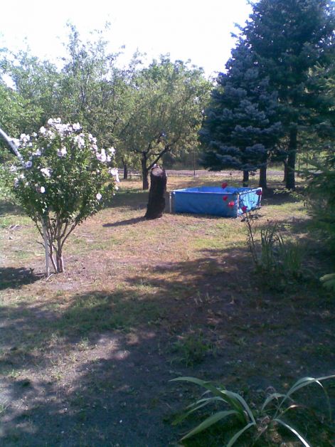 kep002.jpg