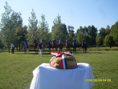 sdc11237.jpg sdc11237.jpg