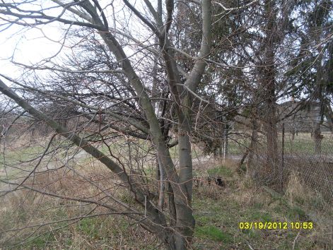 sdc11710.jpg sdc11710.jpg