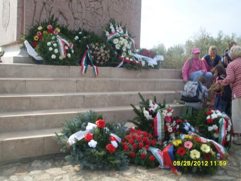 sdc11934.jpg sdc11934.jpg