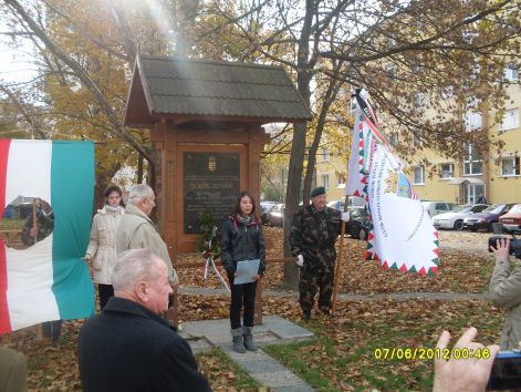 sdc12017.jpg