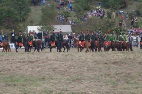 sdc12530.jpg