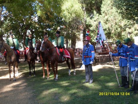 sdc12536.jpg sdc12536.jpg