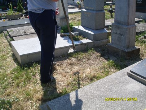 sdc13143.jpg sdc13143.jpg